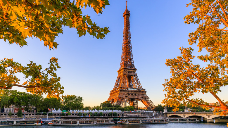Eiffel Tower between trees