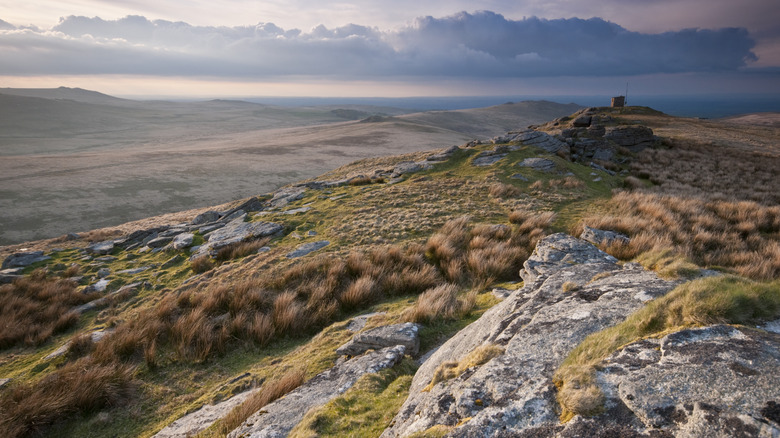 Rocky terrain in Dartmoor 