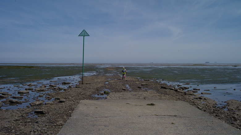 A walker on The Broomway