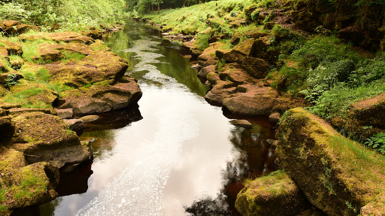 The Strid appears calm