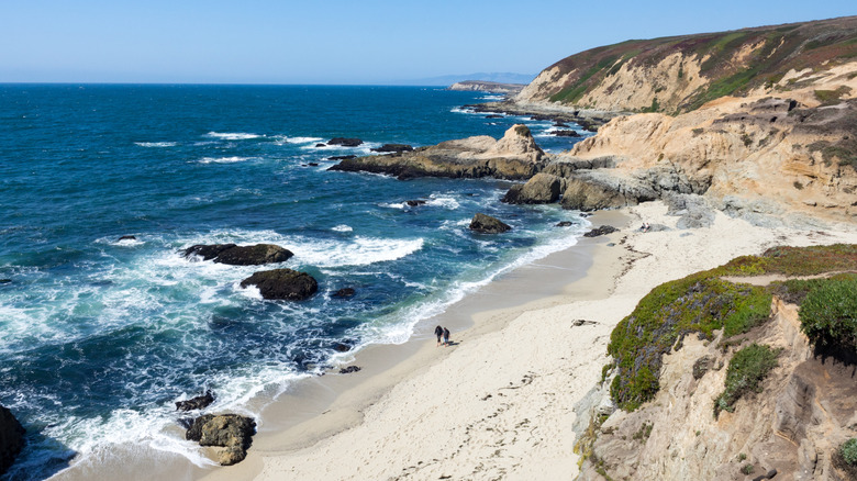 Two people stroll barefoot along a beach in Bodega Bay, California