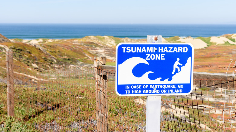 A sign at the beach warning of tsunsamis