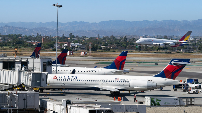 Delta Air Lines planes at gate