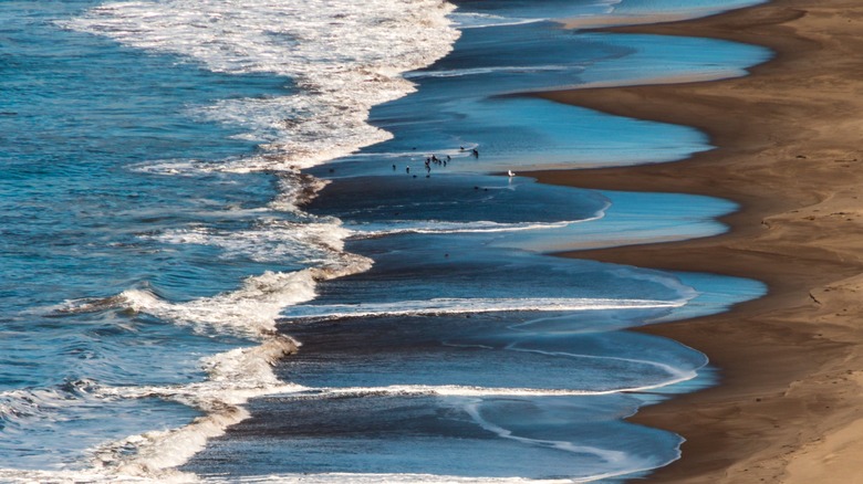 shore of Wildcat Beach