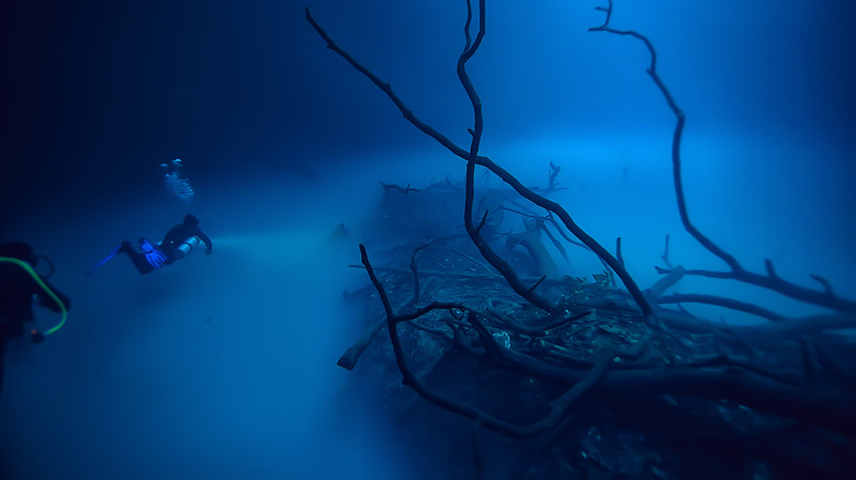 Angelita Cenote in the Yucatan Peninsula