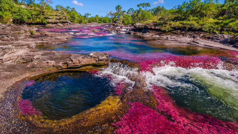 Colorful river in Colombia