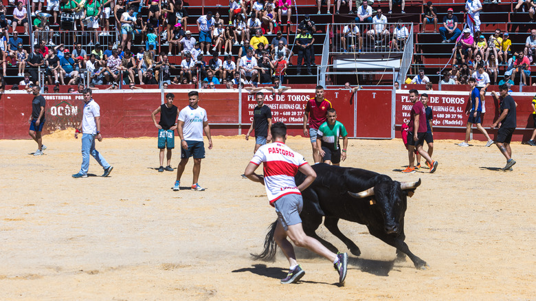 man running with bull