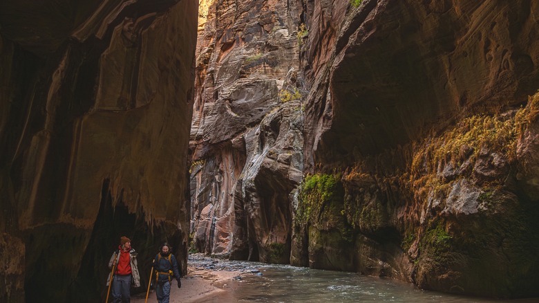 hikers in river narrows