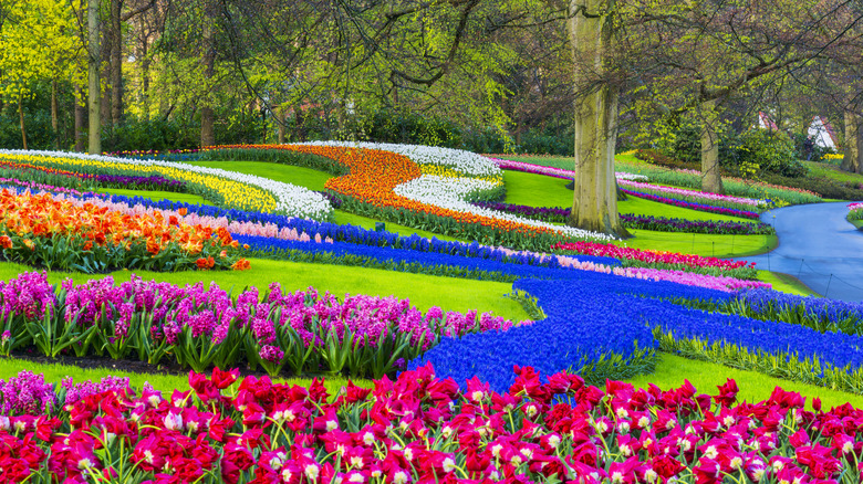 Tulips and other flowers at Keukenhof Gardens