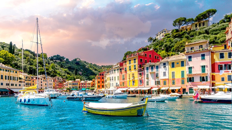 colorful marina, boats, and town