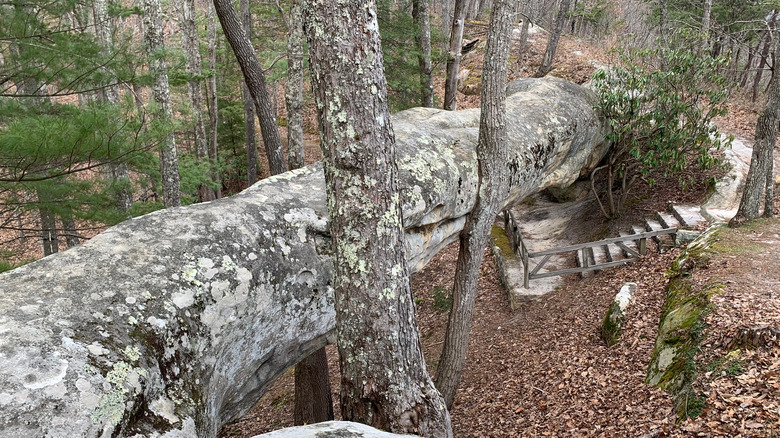 Log Rock at Kingdom Come State Park