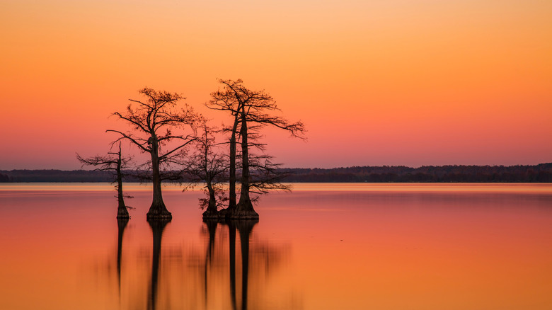 Sunset reflecting off the surface of Reelfoot Lake