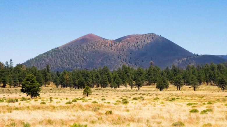 Landscape of volcano and trees