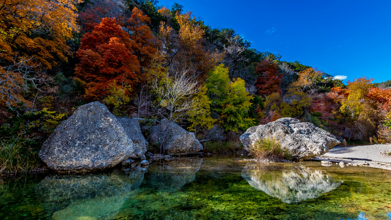 fall foliage by clear pool