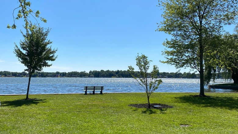 Trees by Winona Lake