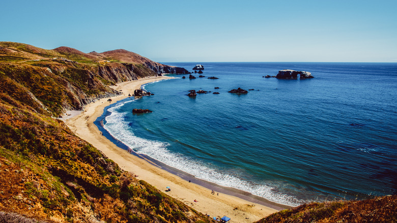 goat rock beach