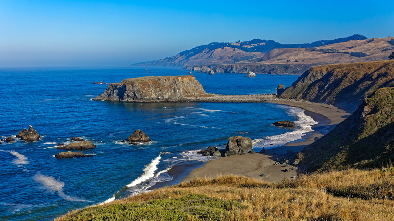 goat rock beach