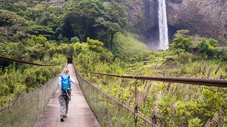 Hiker on bridge to waterfall