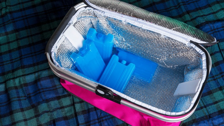 cooler bag with ice packs