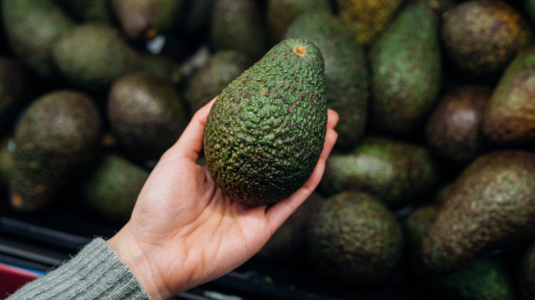 person holding avocado