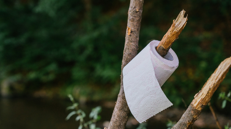 Toilet paper tree