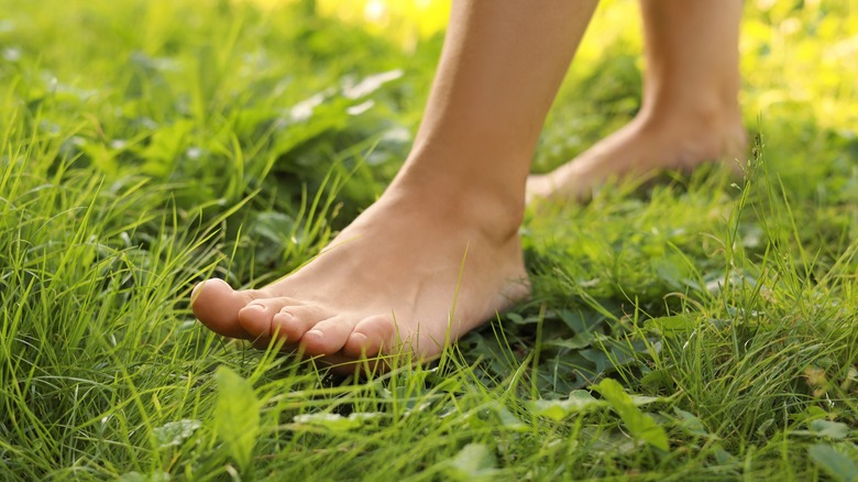 Bare feet in grass