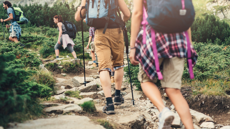 Young people hiking