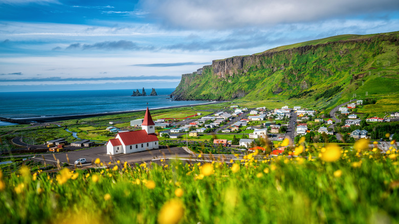 Icelandic village on sunlit coast.