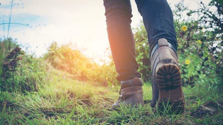 person wearing hiking boots