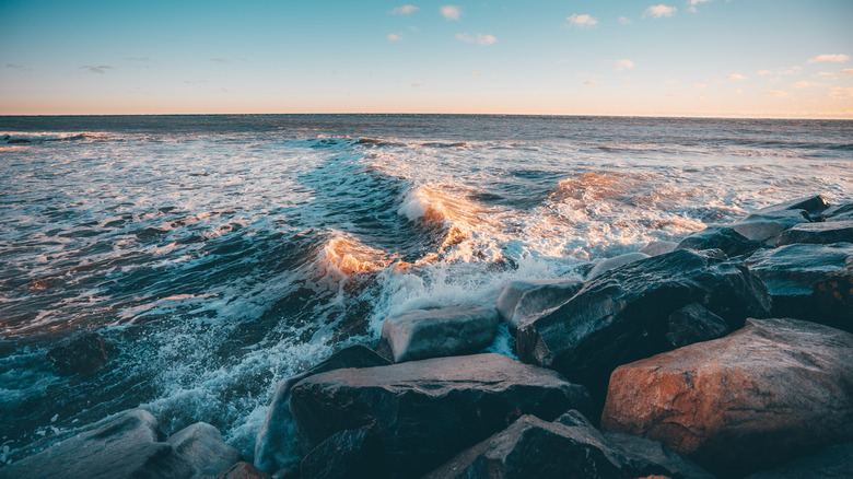 Waves in Montauk