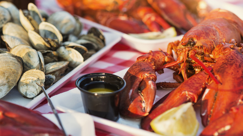 Clams and lobster on the table with cup of melted butter