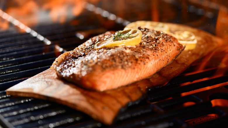 Salmon grilling on a cedar plank