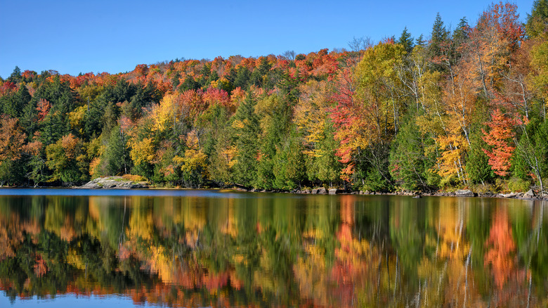 Fall foliage in Lake Placid