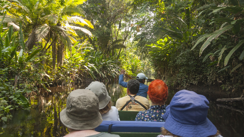 Tourists canoe down a river in Yasuni