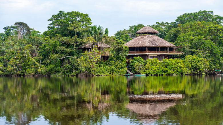 Hut above the water in Yasuni National Park