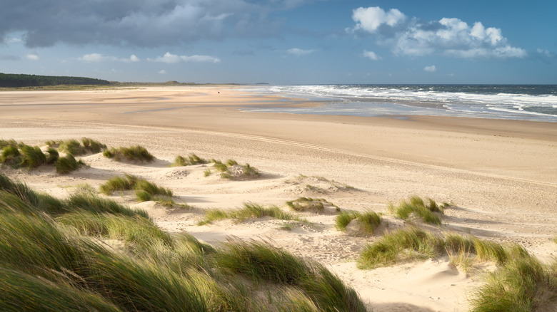 The beach at Holkham National Nature Reserve along England's Norfolk coast