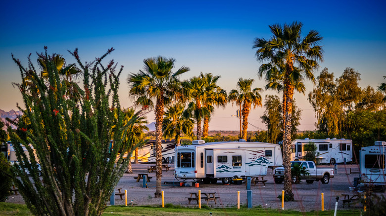 RVs in a desert RV park