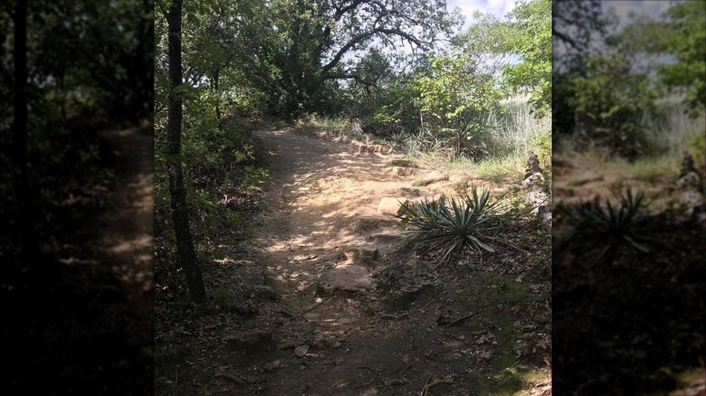 Hiking trail on Eagle Mountain Lake