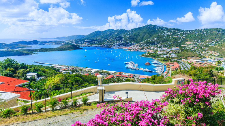 View of the St. Thomas marina