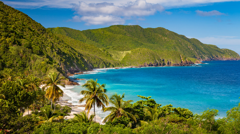 Aerial view of Carambola Beach