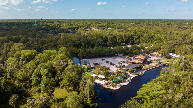 Aerial view of Wekiva Island