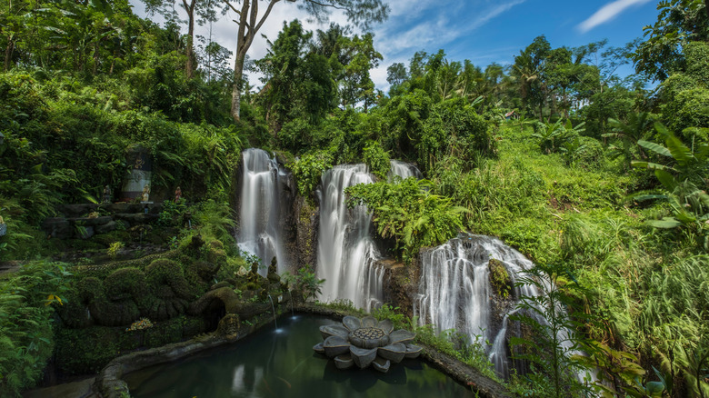 Taman Beji Griya falls in Bali.