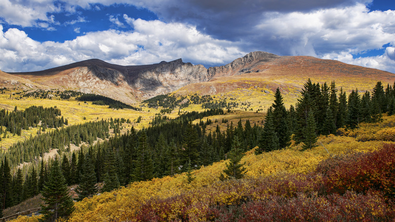 fall colors in the mountains