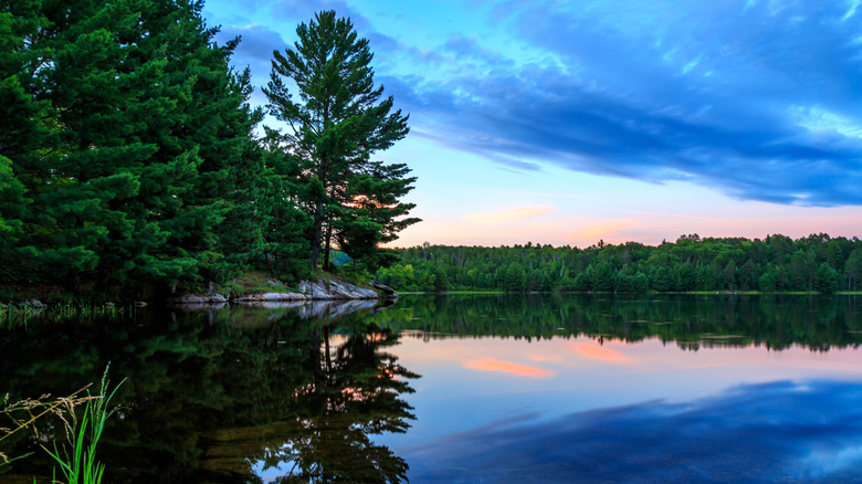 lake in Voyageurs National Park