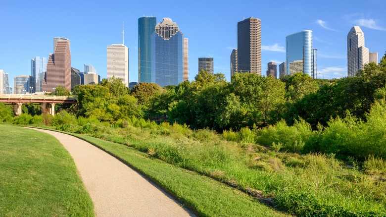 grass, trees, skyscrapers