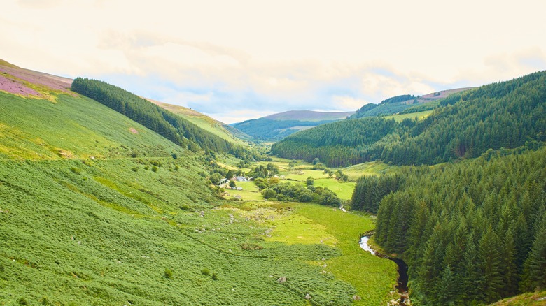 Rolling green hills of Ireland