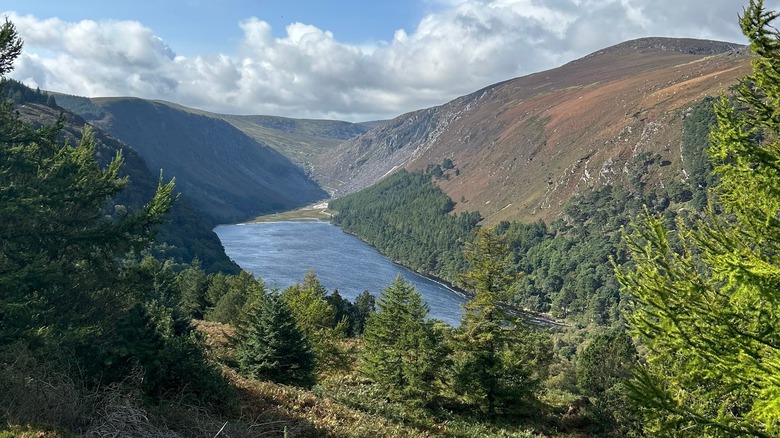 Shot of Wicklow National Park