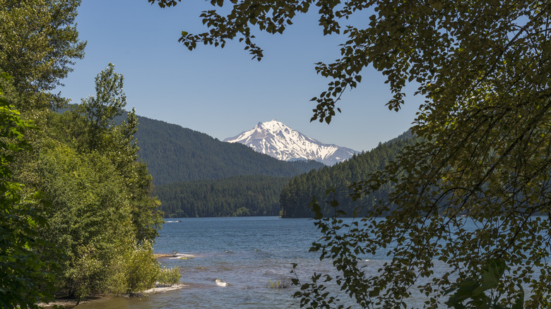 Mount Jefferson over Detroit Lake