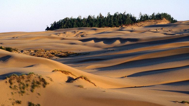 Oregon Dunes National Recreation Area