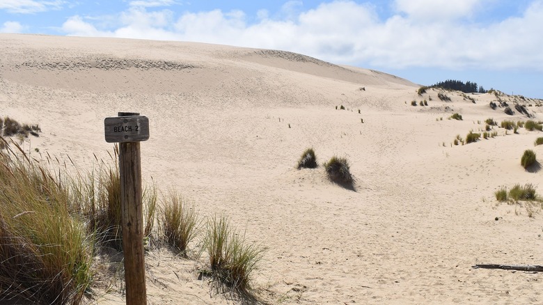 Wooden post marker sand dunes